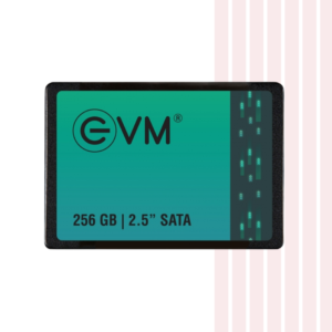 Evm Sata SSD 256GB