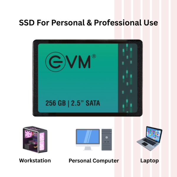 Evm Sata SSD 256GB - Image 3