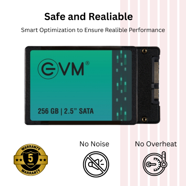 Evm Sata SSD 256GB - Image 4