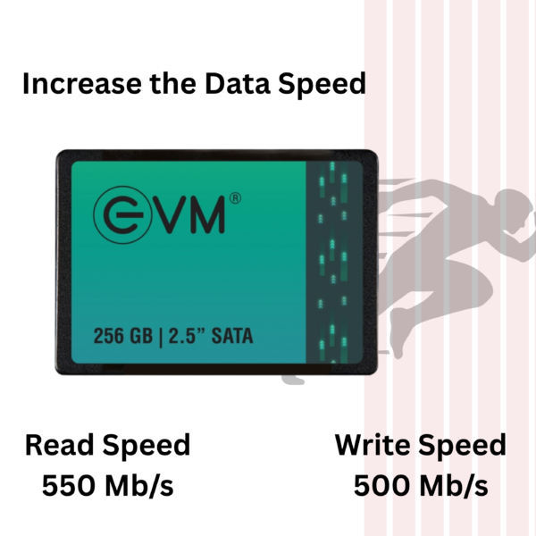 Evm Sata SSD 256GB - Image 5