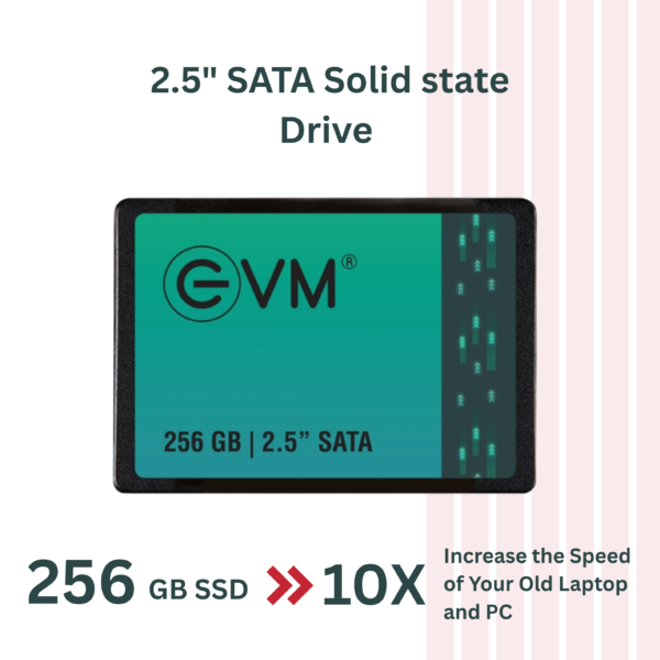 Evm Sata SSD 256GB - Image 6