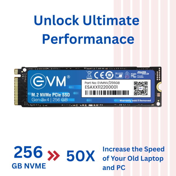 Evm 256GB M.2 NVMe PCIe SSD - Image 6