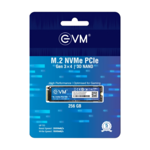 Evm 256GB M.2 NVMe PCIe SSD